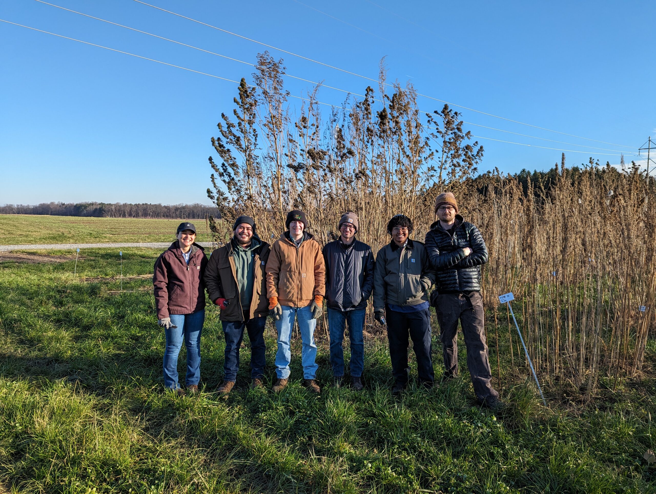 hemp group during a sampling day