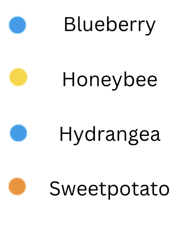 blueberry blue, honeybee yellow, hydrangea blue, sweetpotato orange