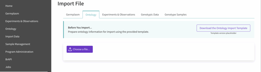 Download ontology import template screen