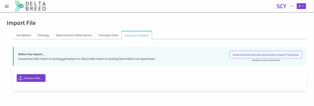 Choose file, upload and validate