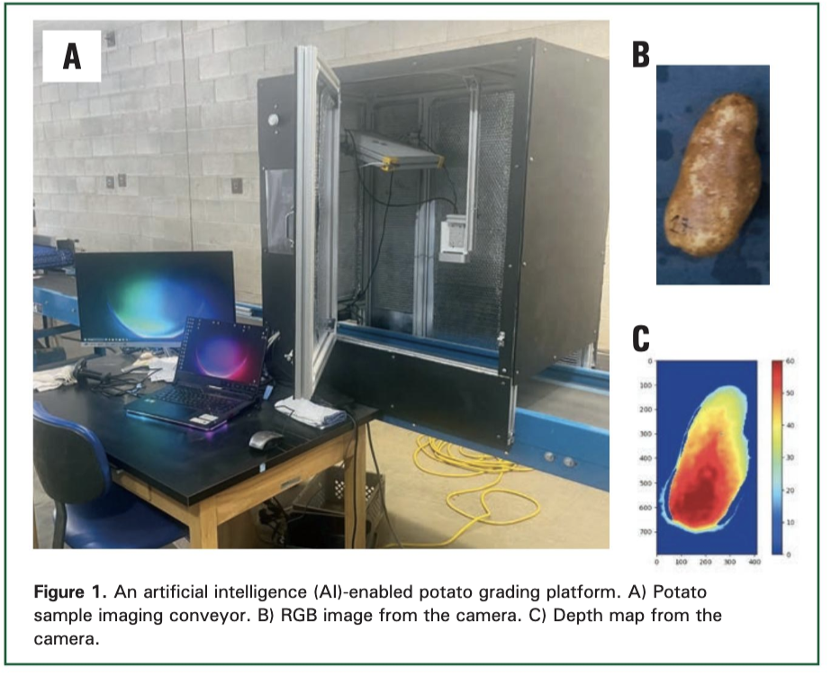 AI box for potato imaging