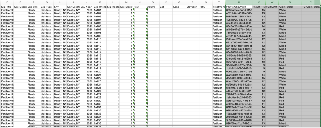 Downloaded Excel experimental file