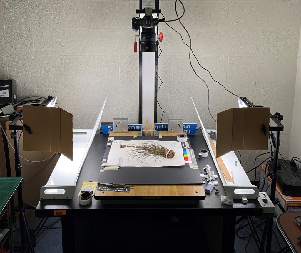 Open imaging system with plant in the center
