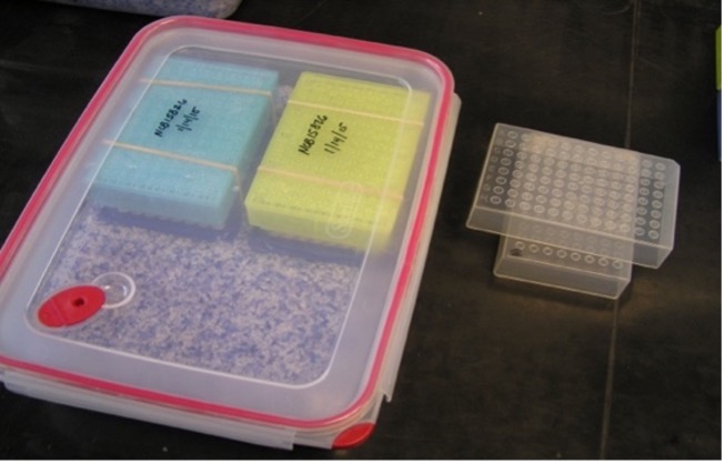 Plates in the silica gel drying container top view