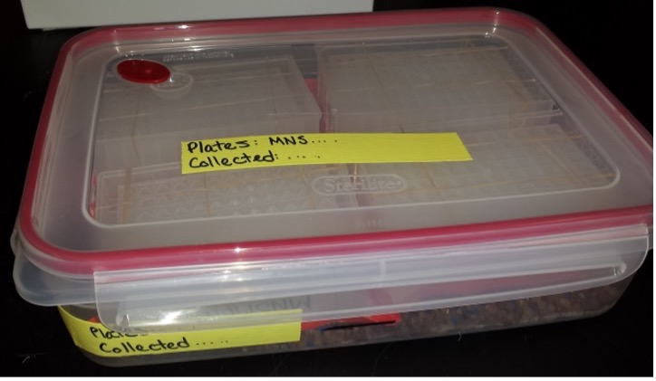 silica gel drying container top view with labels on top and side