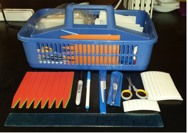Tissue collection kit with scissors, markers, tweezers,